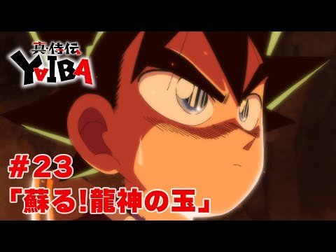 23