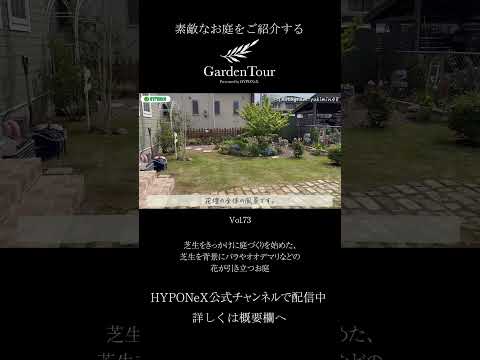 plantes-couvre-sol-rivière-fleurs-multicolores-ambiance