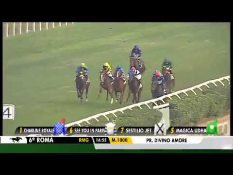 2017.10.29 Premio Divino Amore (ITA) - Gold Tail