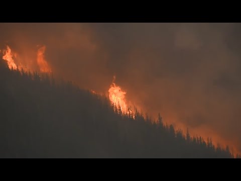 One year after the Kenow Wildfire