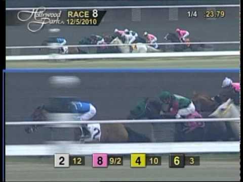 The 29th Running of Bayakoa Handicap (GII)