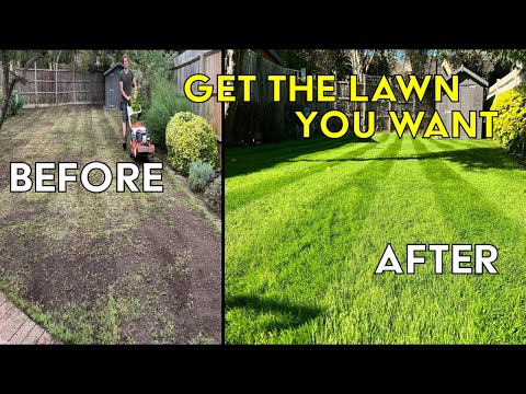 How To FIX An UGLY Lawn With RESULTS 4 Weeks Later In Fall | Step by Step for Beginners EASY