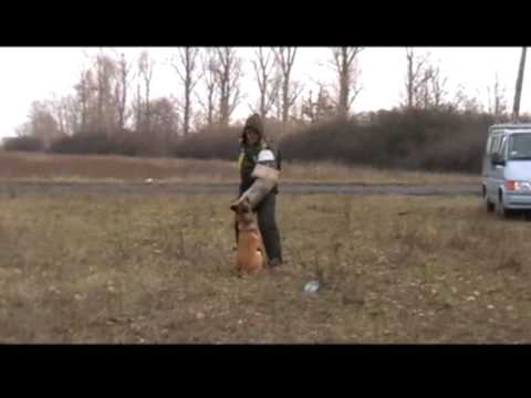 Quenti - trening IPO, Warszawa 29.01.2009