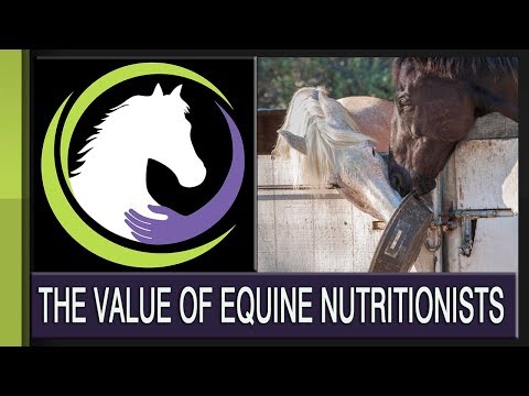 The Value of an Equine Nutritionist on Your Team