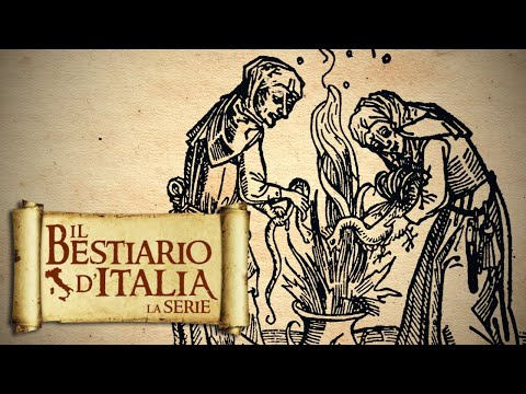 LA COGA (Sardegna) - Bestiario d'Italia