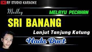 Download lagu SRI BANANG lanjut TANJUNG KATUNG [ Karaoke Nada Duet ] Melayu Pecahan New @rfstudiokaraoke  mp3
