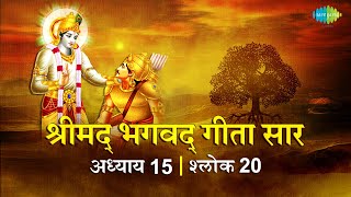 भगवद गीता सार अध्याय 15 श्लोक 20with lyrics | Bhagvad Geeta Chapter 15 sholk 20 | Shailendra Bharti