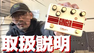 Video thumbnail for 製作者によるGINGERの取扱説明 by キマイラギターズ・ChimairaGuitars
