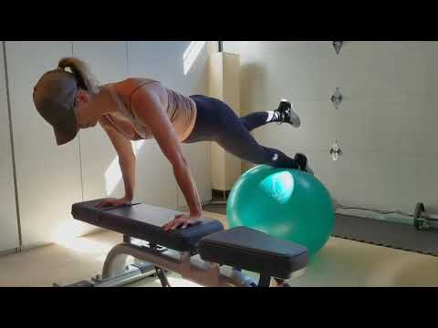 Ball Bench Pillar Plank Leg Lift