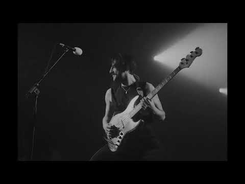 Sexy Zebras - Bailaremos (Live)