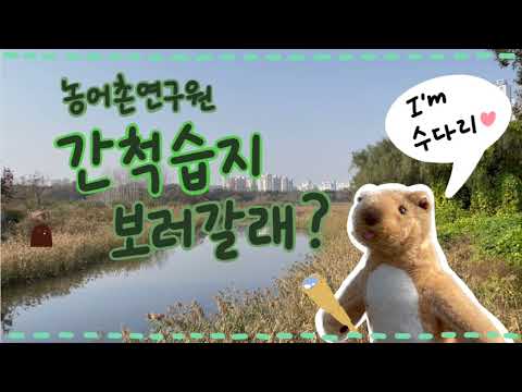 농어촌연구원 간척습지