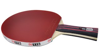Ракетка TTS MASTER PRO MODEL FL