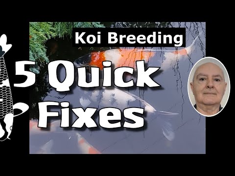 New Pond Syndrome Got You? These FIVE FIXES Save Lives!