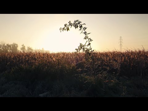 "Clown" - Monika Wiśniowska-Basel (aerial video)