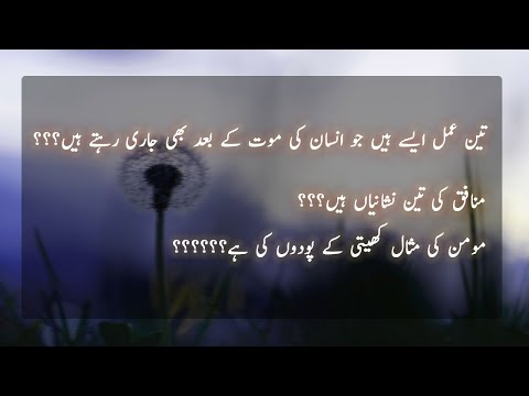 Heart Touching Quotes In Urdu | Golden Words | Whatsapp Status Video | Islamic Quotes