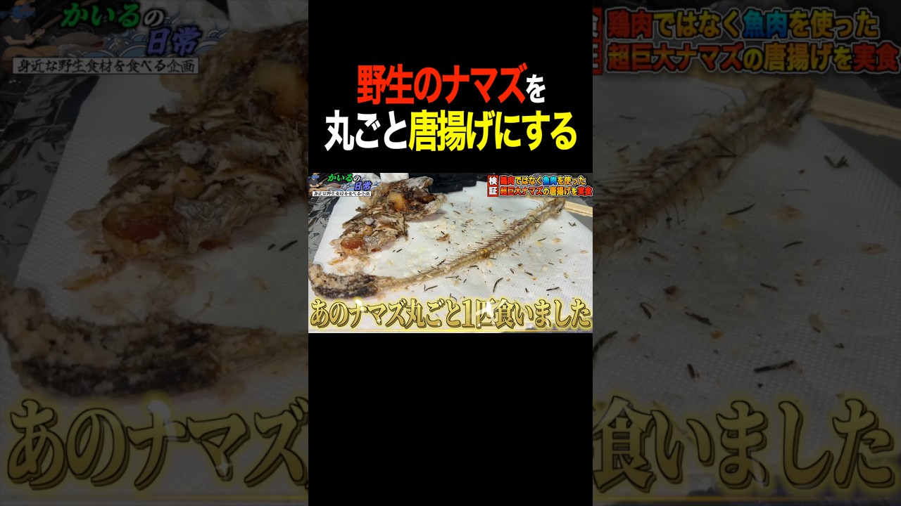 【絶品】ナマズを捕まえて唐揚げにして食べてみた #shorts