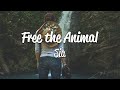 Sia - Free The Animal (Lyrics)