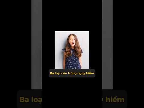 3 loại côn trùng nguy hiểm này nhất định phải nói cho trẻ biết! #xinhhetnac #shorts