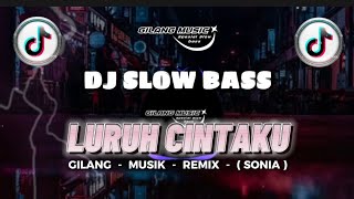 Download lagu DJ LURUH CINTAKU - SLOW BASS!! - ( SONIA ) - Gilang Musik Remix mp3