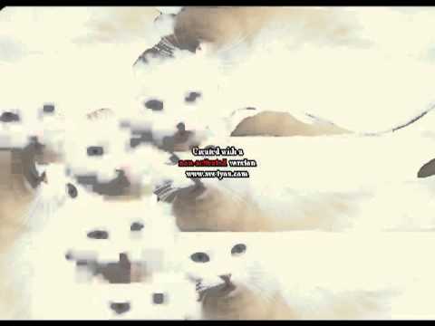 Daj se na luz Kiszka