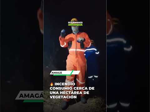 🔥 1NC3NDI0 CONSUMIÓ CERCA DE UNA HECTÁREA DE VEGETACIÓN EN AMAGÁ