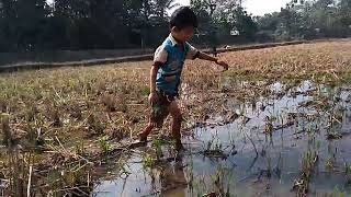 Download lagu Is Today Buro Mai Bur Mani Onik Bwsur Ni Pore Oo Jan=25:01:2026 mp3