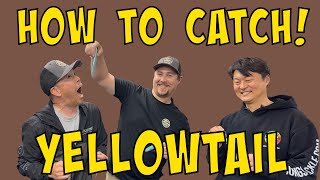 How to Catch Yellowtail 2025 [Beginner Tutorial] SoCal Sportboat Fishing