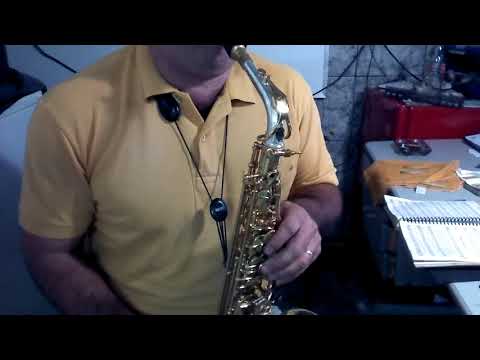 Hino 446 CCB sax alto no soprano