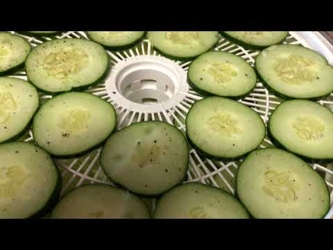 Easy Dehydrating of Cucumbers