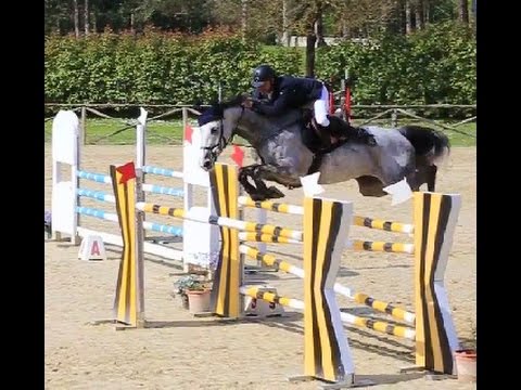 Light Blue del Pietriccio Rosso SI 2008 (Zirocco Blue x Indoctro) - Riccardo Migli