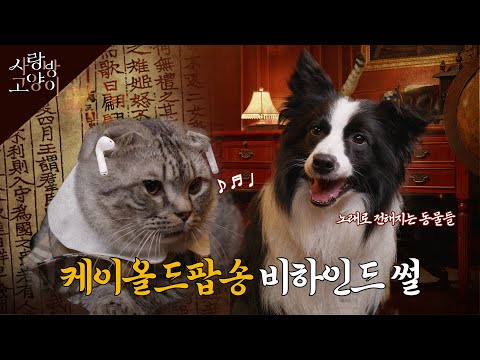 노래 속 동물 이야기ㅣ사랑방 고양이 5부 (SUB)