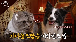 노래 속 동물 이야기ㅣ사랑방 고양이 5부 (SUB)