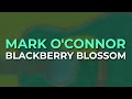 Mark O'Connor - Blackberry Blossom (Official Audio)