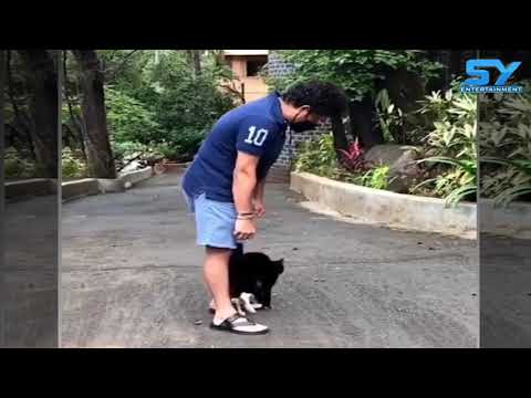 sachin tendulkar playing with cat