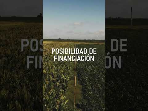 SAN JERONIMO DEL SAUCE