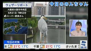 のんちゃん、 「かっこいい-好きなんですよね! 」( 2023年5月31日 #ウェザーニュースLiVE切り抜き〉#大島璃音