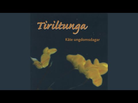 I Mine Kåte Ungdomsdagar