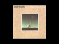 Larry Carlton - Carrying you