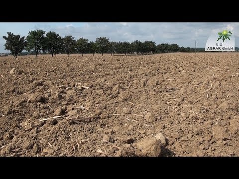 104. Feldexkursion: Getreideaussaat 2018; Was gibt`s zu beachten?