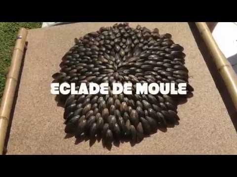 Mussels cooked by fire , the French way - Eclade de moules