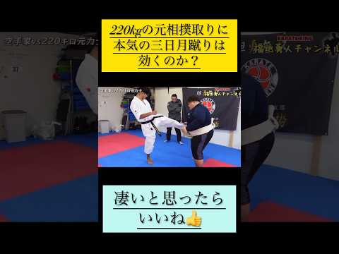 【220kg】の元相撲取りに【本気三日月蹴り】は効くのか？