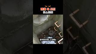 Download lagu 오창 맨홀 속 시신 미스테리 #미제사건 mp3 Download lagu 오창 맨홀 속 시신 미스테리 #미제사건 mp3