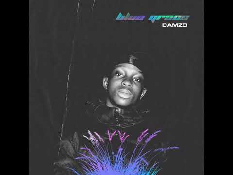 Damzo - Bluegrass (Official Audio)