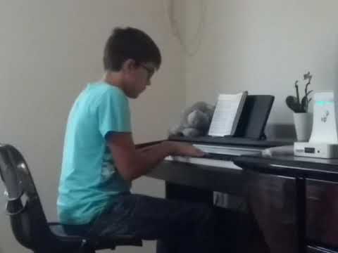 Sve su ptice opet tu - instrumental - Mihael Timotej Pastonjicki