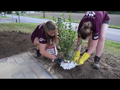 Projektmarathon 2020 - Landjugend Sierndorf - Bezirk Stockerau