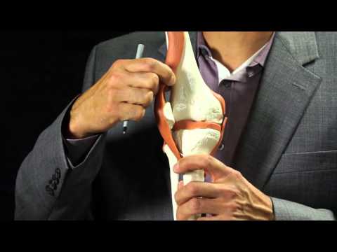 Dr. Anthony Levenda Explains Patella Sublux vs. Dislocation