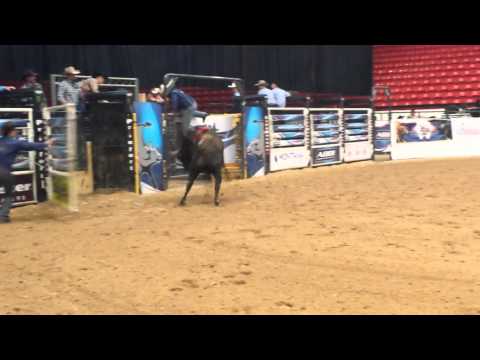 52-3 Smooth Wire •ABBI Yearling Futurity •10-23-14