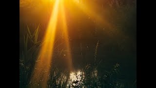 Download lagu Sepercik Air - Deddy Stanzah (with lyric) mp3