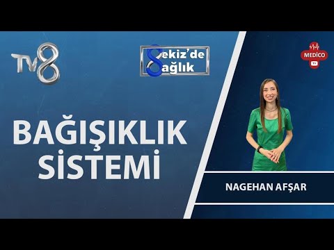Uzman Diyetisyen Nagehan Afşar | Ankara Diyetisyen