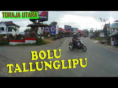 BOLU TALLUNGLIPU TORAJA UTARA